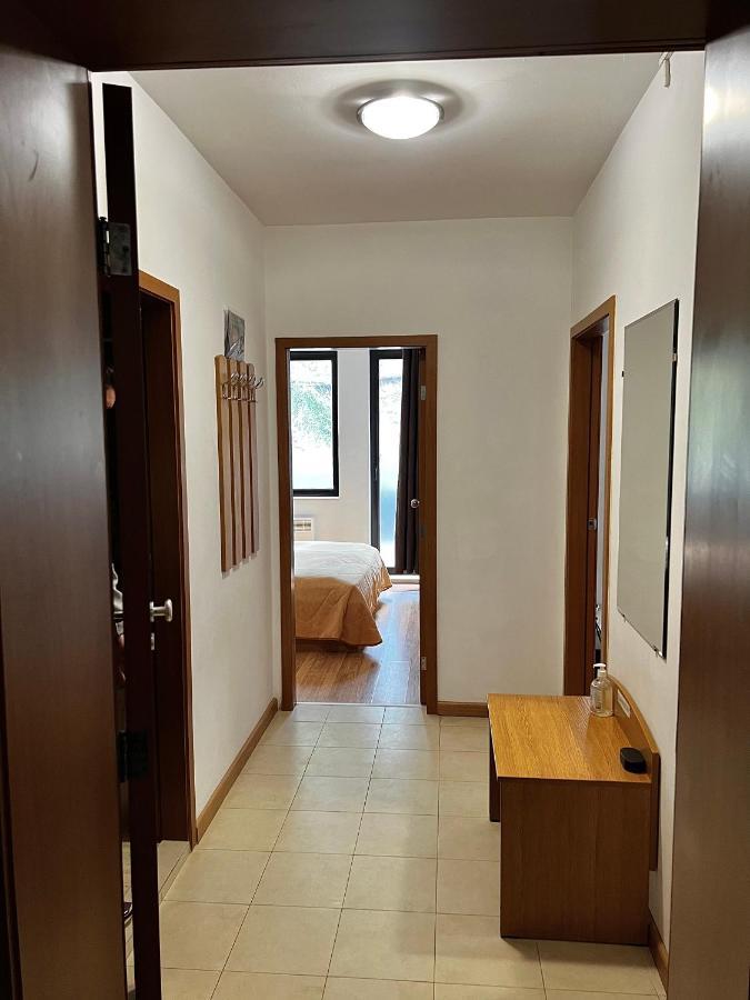 Christina Apartment In Laplandia Pamporovo Exterior photo